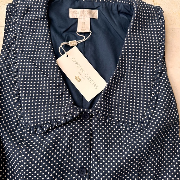 Caroline Constas Navy Polka Dot Linen Blend Dress size 4 - Picture 5 of 11